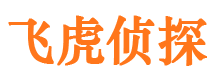 大石桥市私家侦探